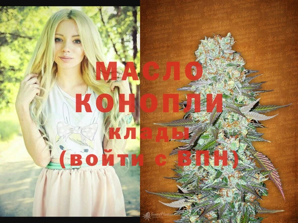 молекула духа Богородицк