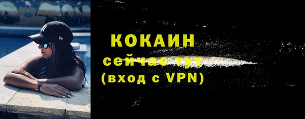 молекула духа Богородицк