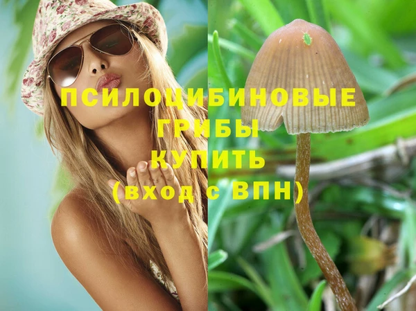 молекула духа Богородицк