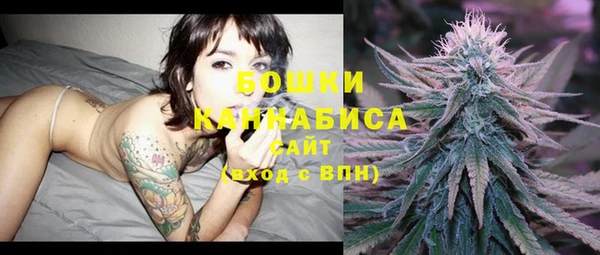 молекула духа Богородицк