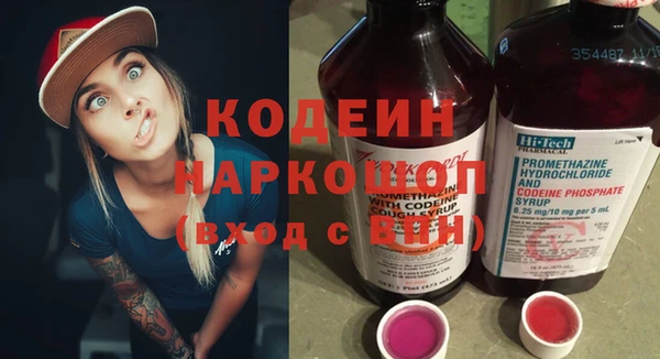 молекула духа Богородицк